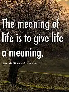 Picture for song 'What is the meaning of life?' by artist 'Adrian J Pratt'