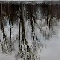Picture for song 'Broken On the Floor' by artist 'Amy Wall'