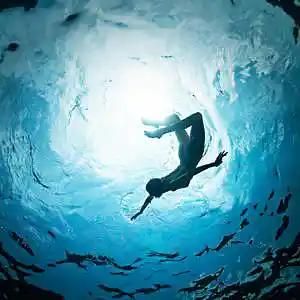 Picture for song 'Future silen' by artist 'Puls Ever'