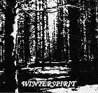 Picture for song 'Winterspirit' by artist 'Fen Hollen'