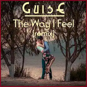 Picture for song 'The Way I Feel (Tom Slade Dance Remix)' by artist 'GuisE'