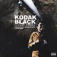Picture for song 'Tunnel Vision' by artist 'Kontrabandz'