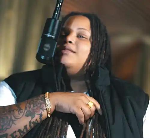 Picture for song 'No Sugarcoating' by artist 'lowkey Ray'