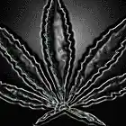 Picture for song 'Puff Puff Pass' by artist 'McGee Entertainment'