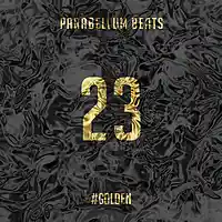 Picture for song '23' by artist 'Parabellum Beats'