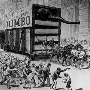 Picture for song '1857 *BUY 1 GET 1 FREE*' by artist 'Vape D'