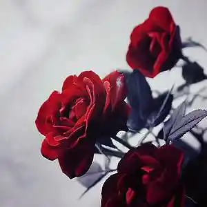 Picture for song 'Love Letter - Emotional Piano Synth Pop Rap Beat' by artist 'Viave Beatz'