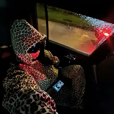 Picture for song 'Lucki Type Beat - Green Day' by artist 'willvercetti'