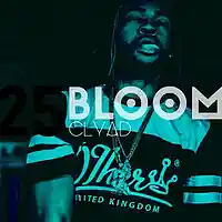Picture for song 'Bloom (PARTYNEXTDOOR Type Beat)' by artist 'CLYAD'