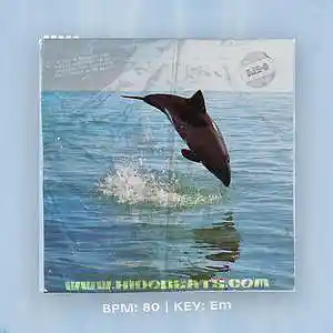 Song picture