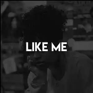 Picture for song 'LikeMe' by artist 'iDBeatz Productions'