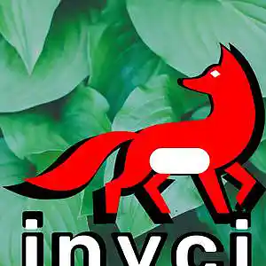 Picture for song 'Liquor song by inyci' by artist 'inyci'