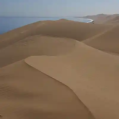 Picture for song 'NAMIB (SKELETON COAST)' by artist 'Jomisee'