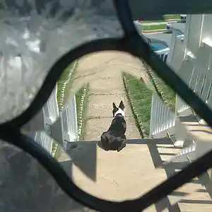 Picture for song 'a closed room' by artist 'ranxid'