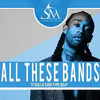 Picture for song 'All These Bands W/Hook' by artist 'SeanMurdz'