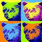 Picture for song 'ANGRY MINUTE (05-22-07)' by artist 'Speaker Freaker'