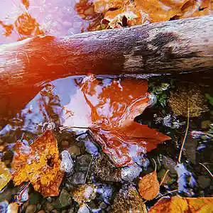 Picture for song 'Scary' by artist 'Jeffrey Aldridge'