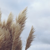 Picture for song 'FREE EDM & Hip Hop Beat - Imagery' by artist 'Amusing Music Inc'