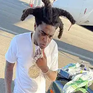 Picture for song 'Kodak Black x Lil Baby Type Beat - Dreaming About ' by artist 'Brentin Davis Beats'