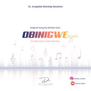 Picture for song 'Obinnigwe - Original Song by Minister GUC' by artist 'Elisha Fatade'