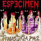 Picture for song 'VIVA EL ALCOHOL' by artist 'Especimen'