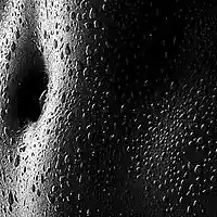 Picture for song 'Sweat' by artist 'FlyHigh Marty'