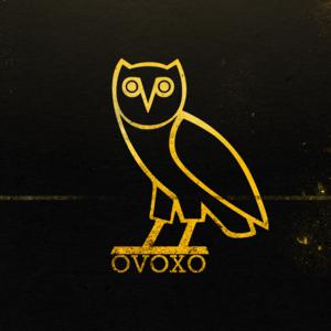 Picture for song 'OVO' by artist 'KMBeatsOfficial'