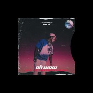Picture for song 'Lil Uzi Vert x NLE Choppa Type Beat - ''Oh Wow''' by artist 'Murat'