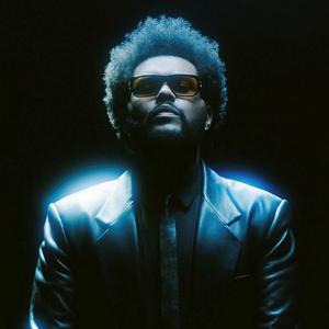 Picture for song 'Navigator' by artist 'Pandora Nightz'