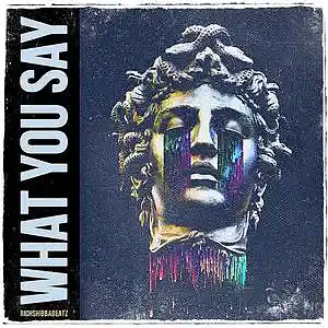 Picture for song 'WHAT YOU SAY (SOLD)' by artist 'richshibbabeatz'