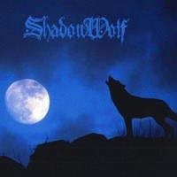 Picture for song 'Nocturnal Hunt(demo)' by artist 'ShadowWolf'