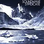 Picture for song 'Torn' by artist 'Soundwave Syndicate'