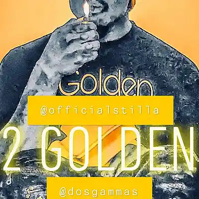 Picture for song '01 Golden' by artist 'Stilla Ragg'