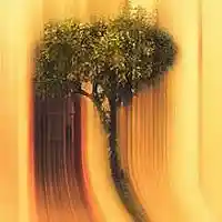 Picture for song 'VISION(PROD.whoDeany)' by artist 'whoDeanyBeatz'