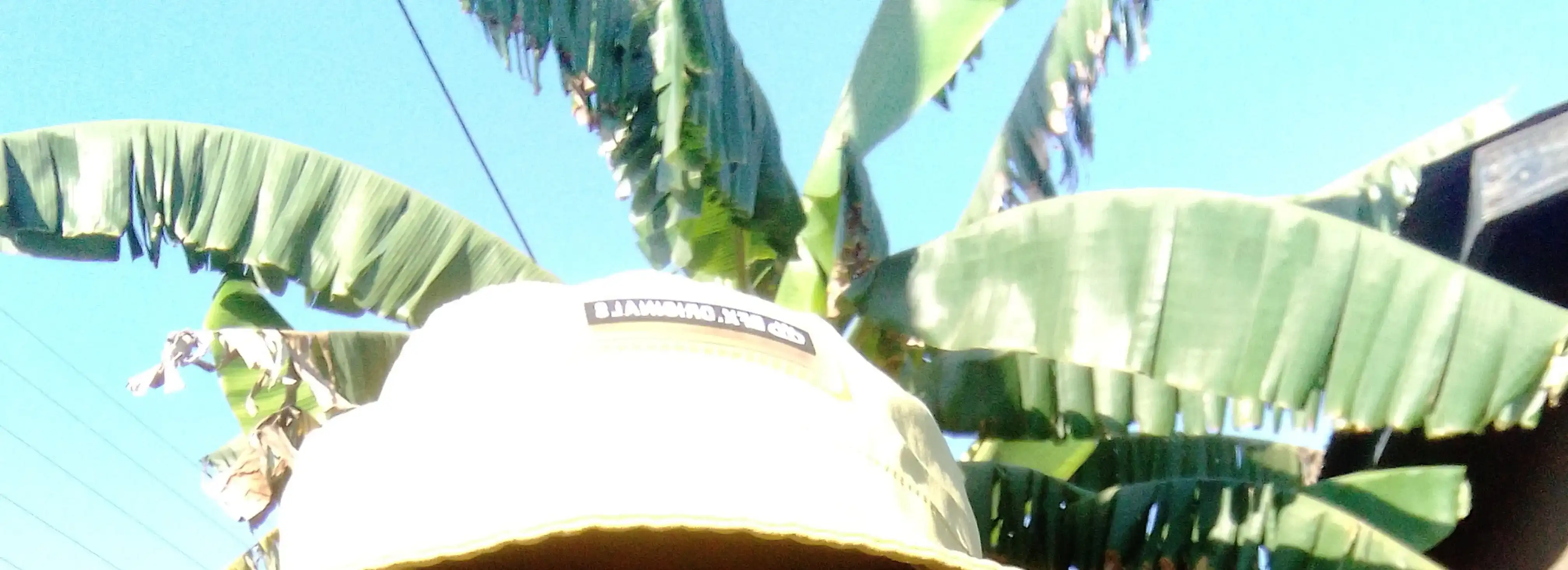 cover pic