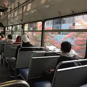 Song picture