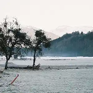 Picture for song 'Morning' by artist 'Say-T'