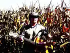Picture for song 'Key to My Heart' by artist 'Smoking Ruins'