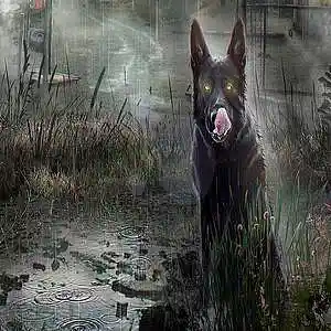 Picture for song 'Dosimeter' by artist 'the lost highway'