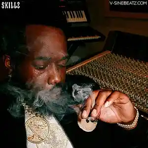 Picture for song 'Skillz (Buy 1 Get 1-3 FREE)' by artist 'V-Sine Beatz'