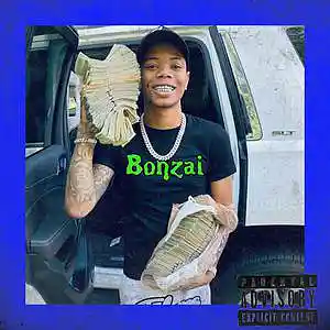 Picture for song 'Bonzai' by artist 'Zaysace P'