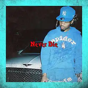 Picture for song 'Never Die' by artist 'Zaysace P'