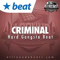 Picture for song 'CRIMINAL - (Buy 2 get 3 FREE!)' by artist 'ALLROUNDA Productions'