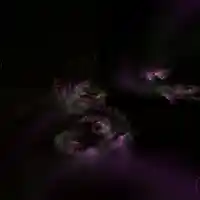 Picture for song '1.dark wip' by artist 'BGN'