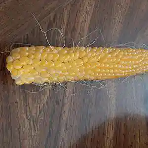 Picture for song 'X IN SEXY (Master) 1.mp3' by artist 'David Hilliard Drums'