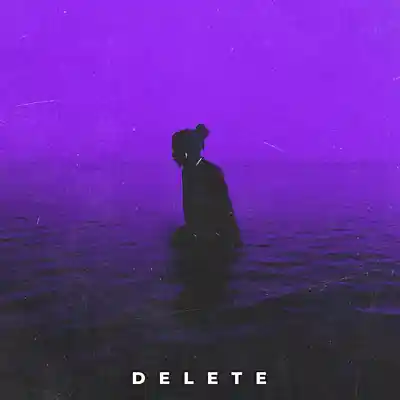 Picture for song 'delete' by artist 'Erawy'