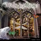 Picture for song 'Changing World' by artist 'Mechanical Organic'