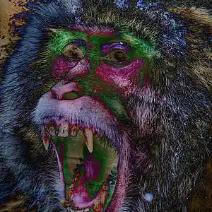 Picture for song 'Zone of interest' by artist 'meglodave'