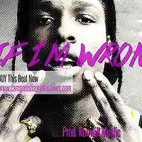 Picture for song 'If I'm Wrong' by artist 'Ronwill Musiic'