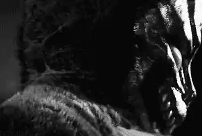 Picture for song 'Boombap Hard stilo IKU THE KID, YUNG VEGAN' by artist 'ryuuku'